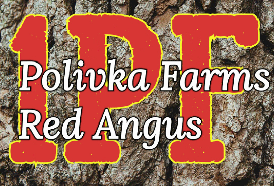 Logo image for Polivka Farms Red Angus
